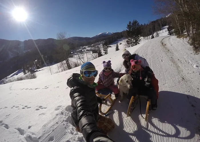 Tiroler Hasenhoehle 公寓 *