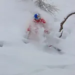 Tiroler Hasenhoehle アパート ヴェンス